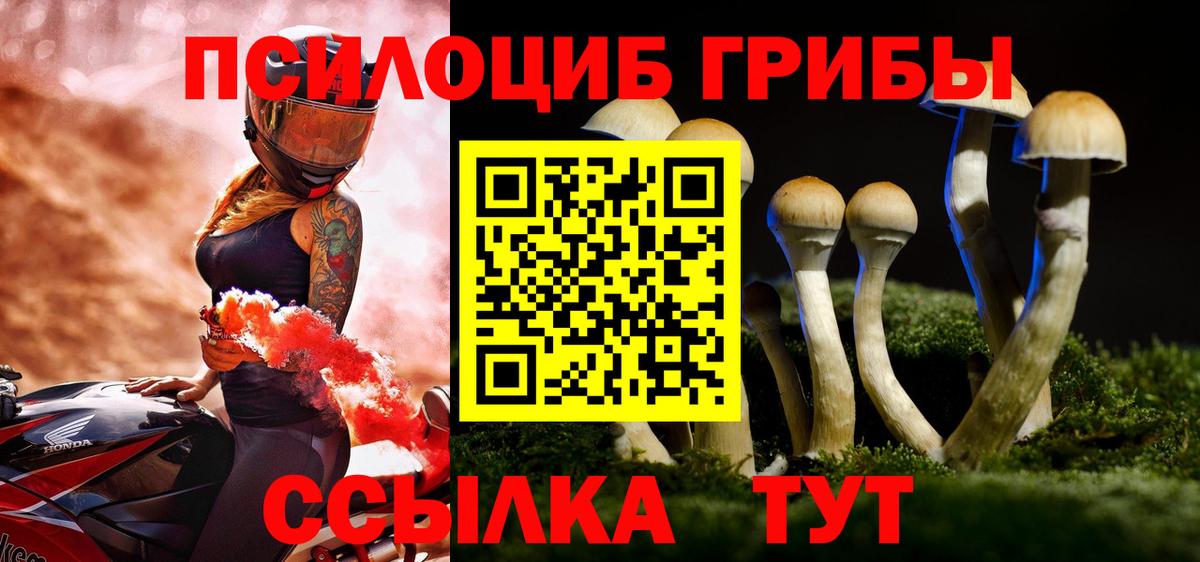 Галлюциногенные грибы мухоморы Нижний Тагил