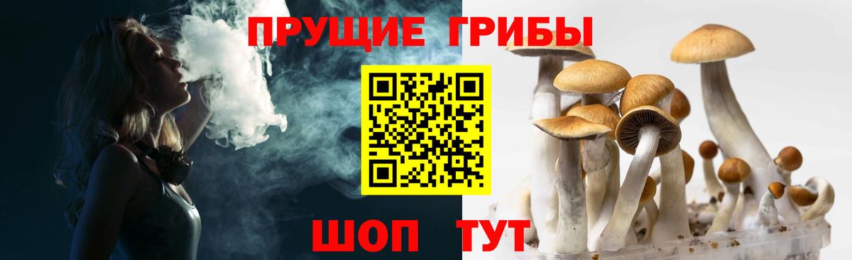 Нижний Тагил  Псилоцибиновые грибы ЛСД  Вход с VPN  Галлюциногенные грибы Psilocybe 